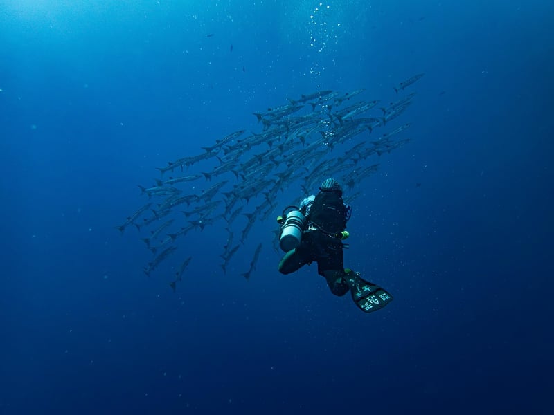 Historical Dives
